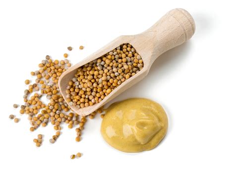 mustard definition.